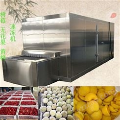 沂南黄桃速冻机设备 全自动水果速冻设备厂家 诸城轩逸