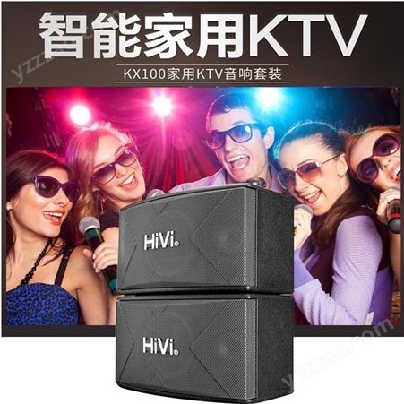 Hivi/惠威 KX100家庭KTV音响2.0声道卡拉ok音箱
