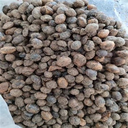 发酵大豆 有机肥 菌肥腐熟 土壤改良剂 有机肥大豆发酵