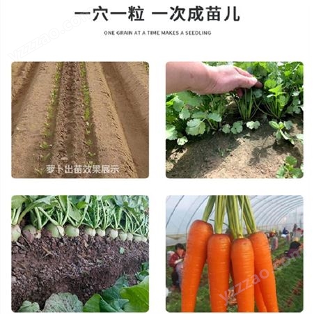 水稻种子编织机  省工省种高效率高精播  自动化蔬菜播种机厂家