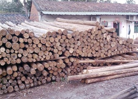 东莞杉木供应商 大量杉木供应 杉木加工厂