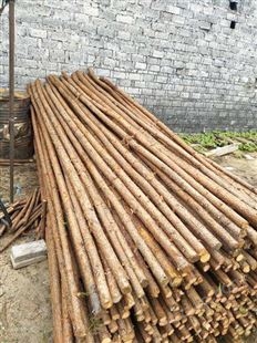 专业加工杉木绿化杆   杉木绿化杆价格  大量杉木绿化杆供应