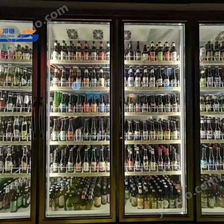 湖北十堰市下置款饮料冷蔵柜展示柜-三盾冷链