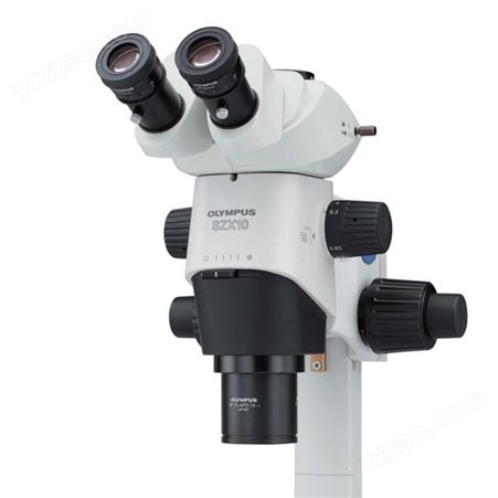 奥林巴斯显微镜 SZX10体视显微镜 富莱显微镜厂家