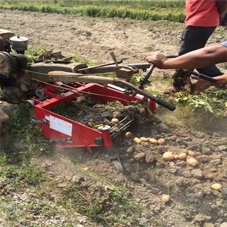 农田小型土豆收获机  多功能土豆收获机 手扶拖拉机带土豆收获机