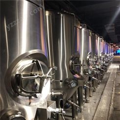 史密力维饭店自酿原浆啤酒设备 啤酒设备发酵罐 300升啤酒设备
