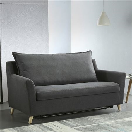 双人沙发床客厅多功能两用可折叠伸缩小户型家用带床垫