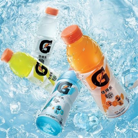 佳得乐 GATORADE 橙味功能运动饮料整箱 600ml*15瓶 跑步健身
