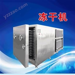 真空冷冻 食品冻干机 台式小型 果蔬冷冻干燥机 中禧ZX-310