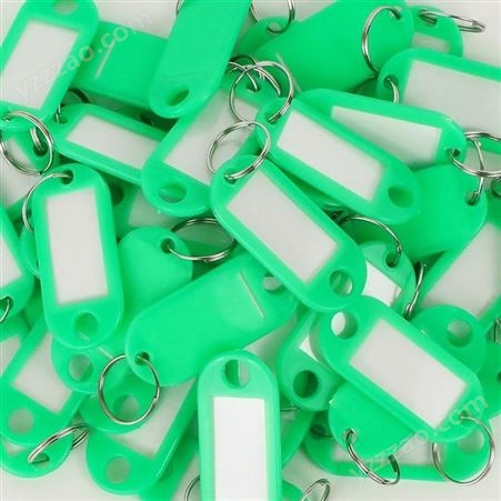 迅想 钥匙牌 吊牌 钥匙扣 钥匙标签牌子 钥匙管理 办公钥匙吊牌贴 50个装 办公用品 绿色3234