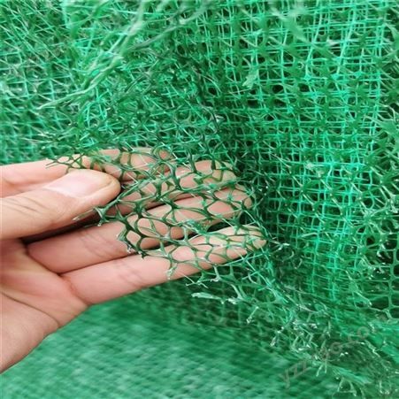 植被网厂家 三维植被网 喷播植草护坡三维网