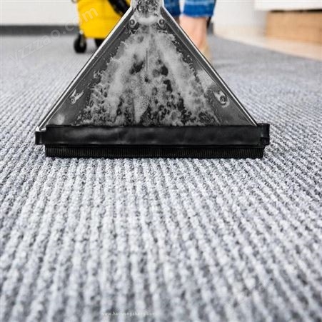 帝景 重庆地毯清洗 定点保洁 家庭清洁 企业保洁 家电清洗