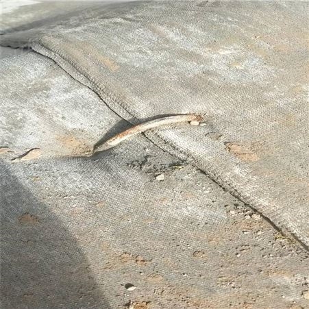 丽江护坡防渗水泥保护毯 可寄送样品水泥毯