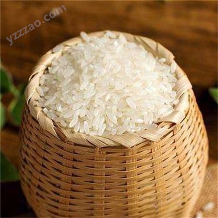 启旺高价回收过期大米大量生虫稻花香大米收购