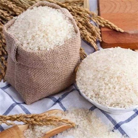 启旺高价虫蛀有机大米收购发霉盘锦大米回收